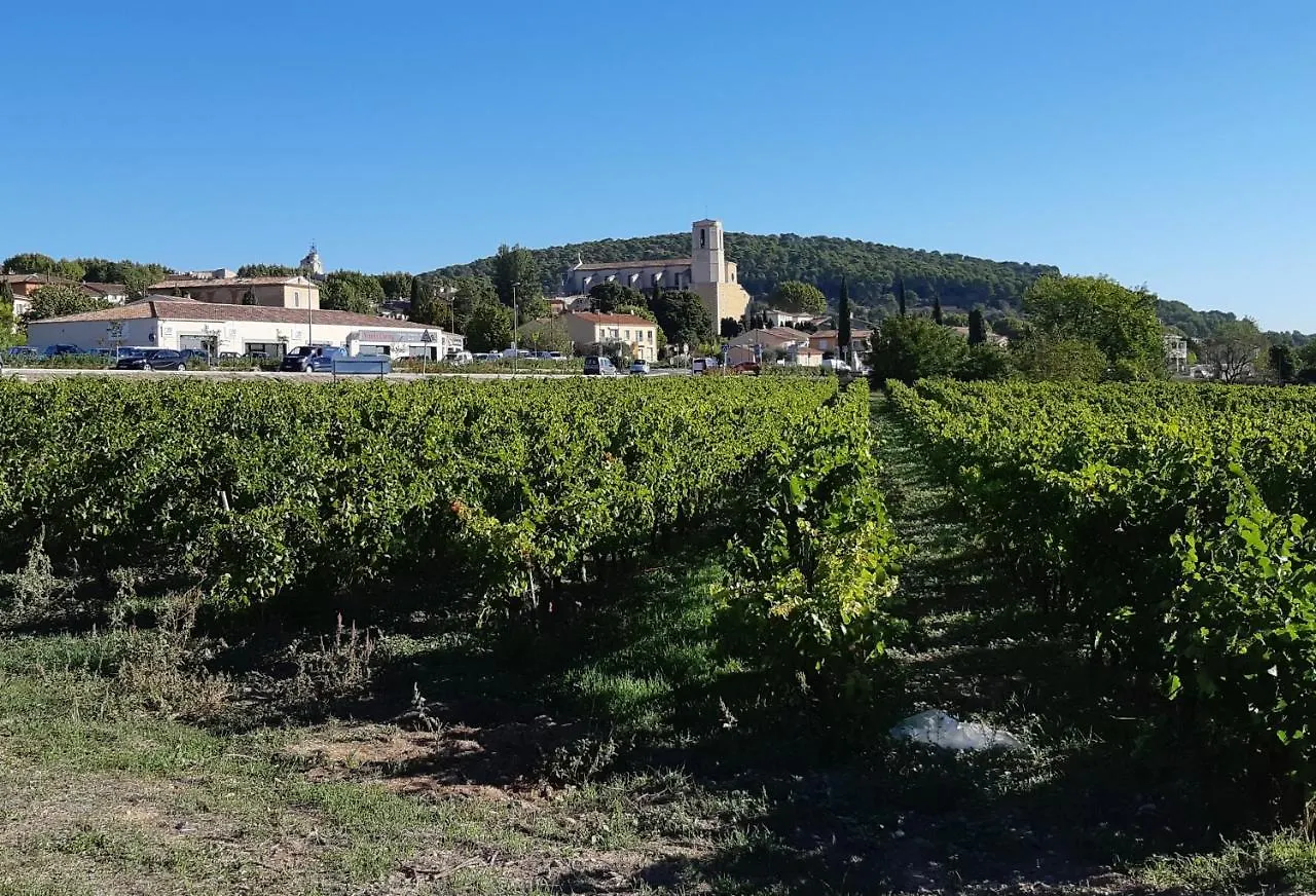 Au Mas Des Voyageurs Bed & Breakfast Lorgues 0*,  France